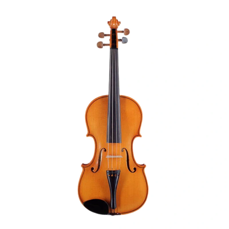 Stringsfactory beginner violin
