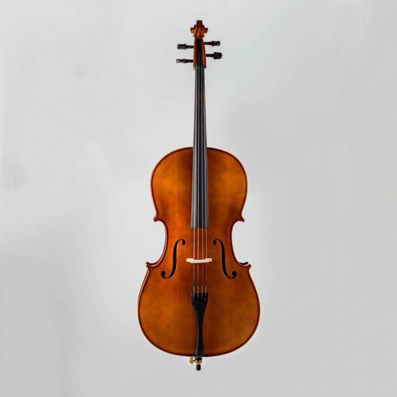 Stringsfactory Beginner Cello